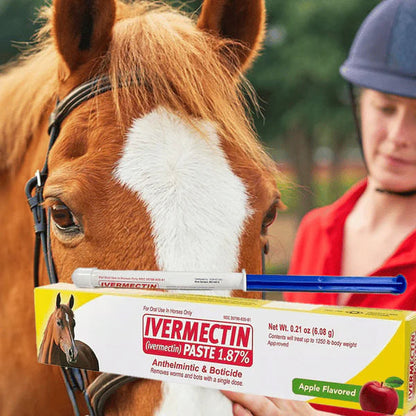 🔥 Last Day 49% OFF - ivermectin Horse Paste 1.87% 6.08g Tubes