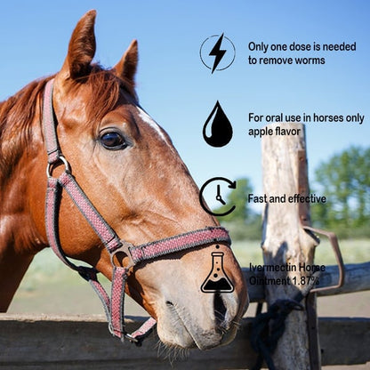 🔥 Last Day 49% OFF - ivermectin Horse Paste 1.87% 6.08g Tubes