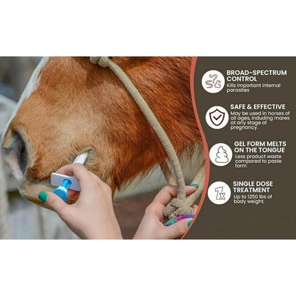 🔥 Last Day 49% OFF - ivermectin Horse Paste 1.87% 6.08g Tubes