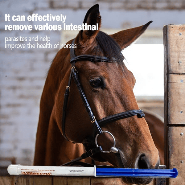 🔥 Last Day 49% OFF - ivermectin Horse Paste 1.87% 6.08g Tubes